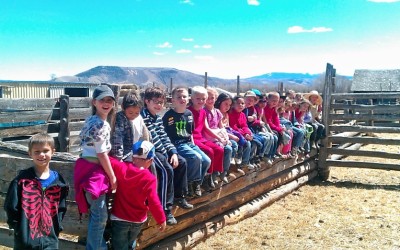 Farm to School-Farmers Dig It!