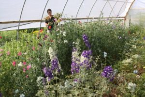 fieldflorals.greenhouse